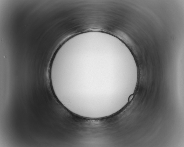 X0000089831190200707191820