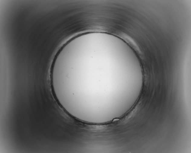 X0000089831192200707191820