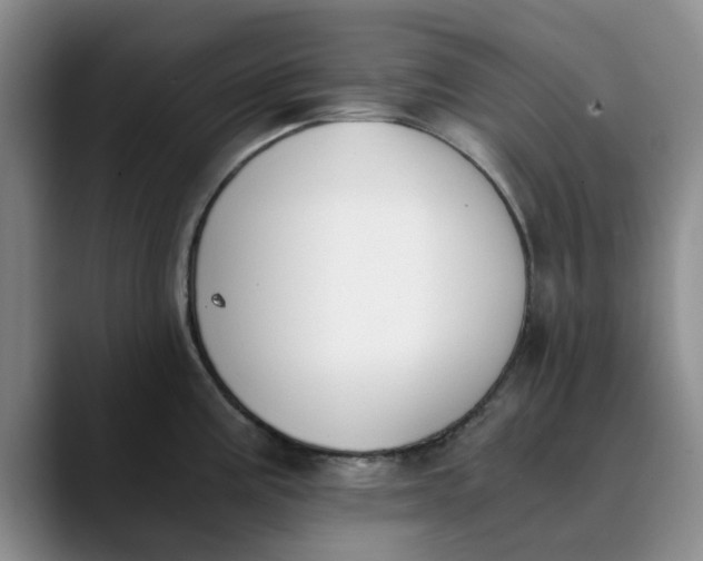 X0000089831195200707191820