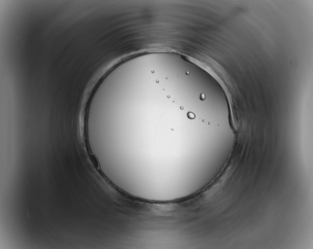 X0000089831196200707191820