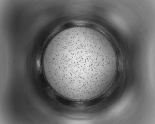 X0000089831198200707191820