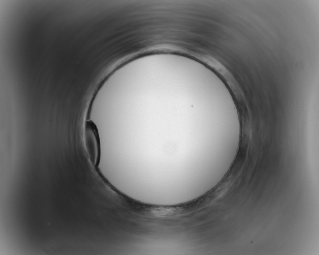 X0000089831199200707191820