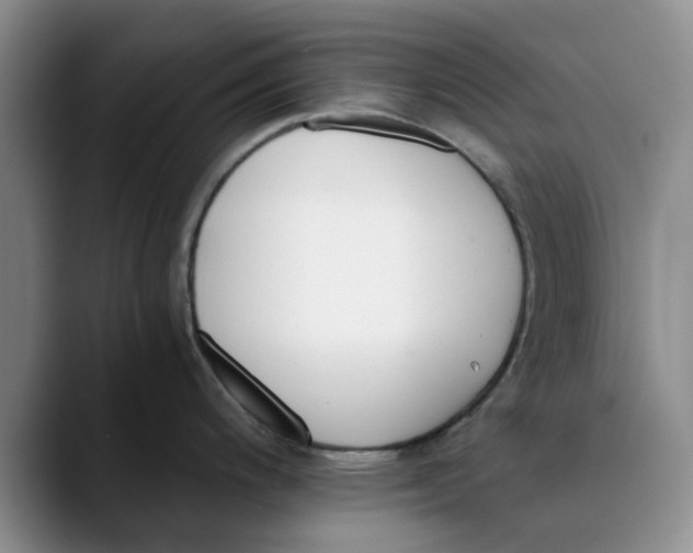 X0000089831200200707191820