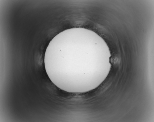 X0000089831204200707191820