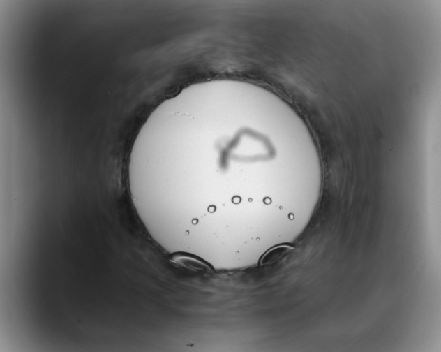 X0000089831205200707191820