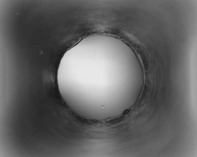 X0000089831206200707191820