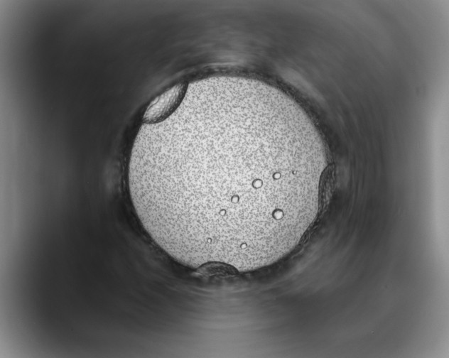 X0000089831208200707191820