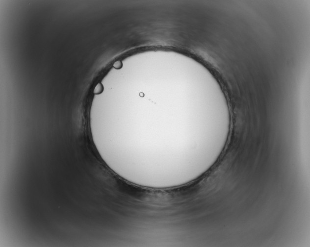 X0000089831215200707191820