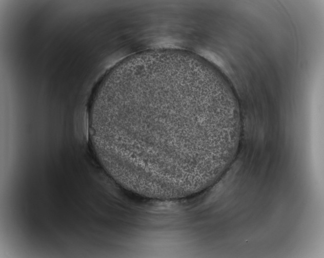 X0000089831219200707191820