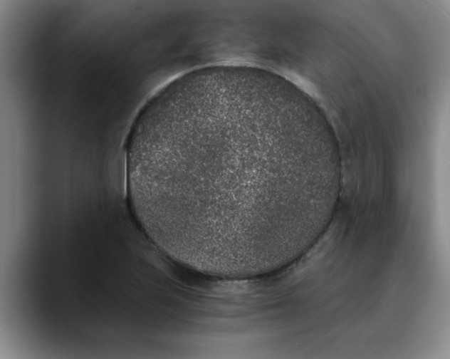 X0000089831223200707191820