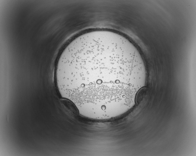 X0000089831224200707191820