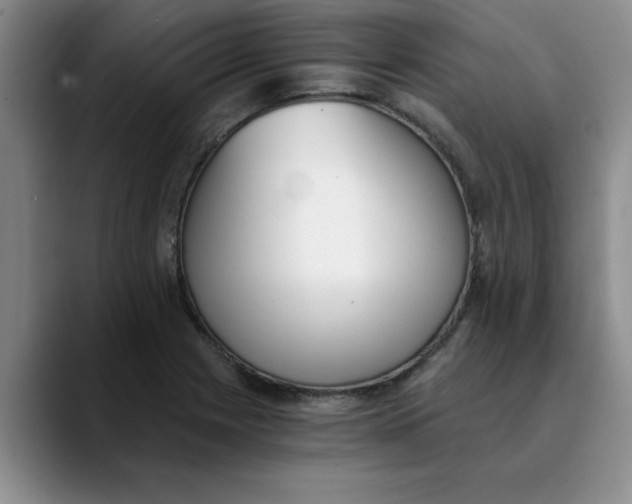 X0000089831225200707191820