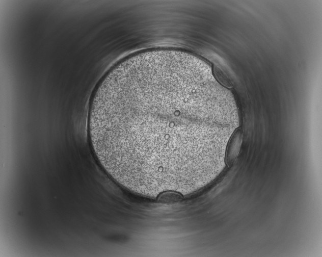 X0000089831228200707191820