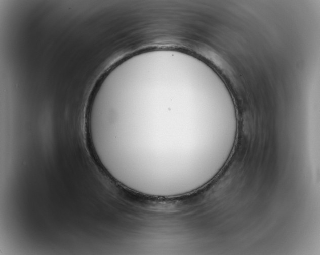 X0000089831229200707191820