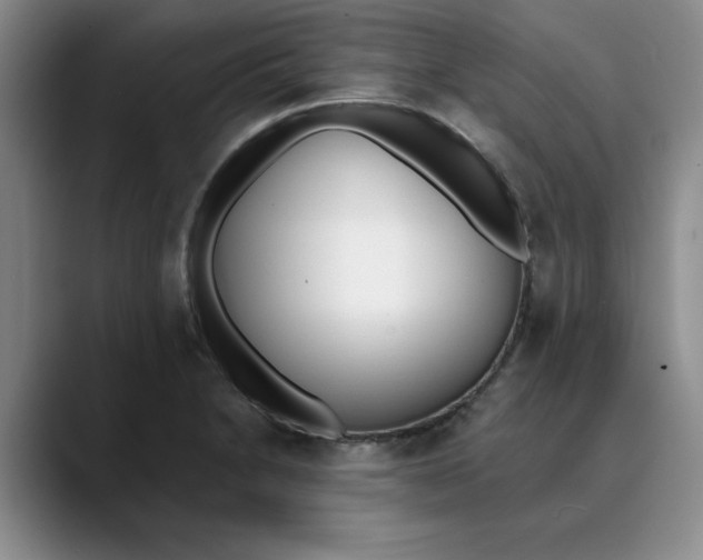 X0000089831230200707191820