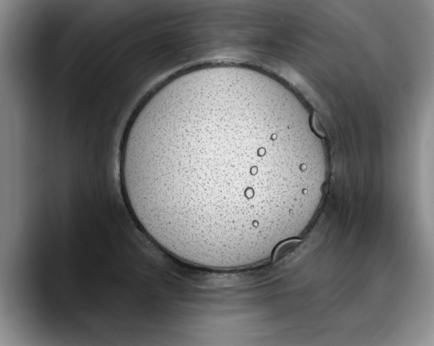 X0000089831232200707191820