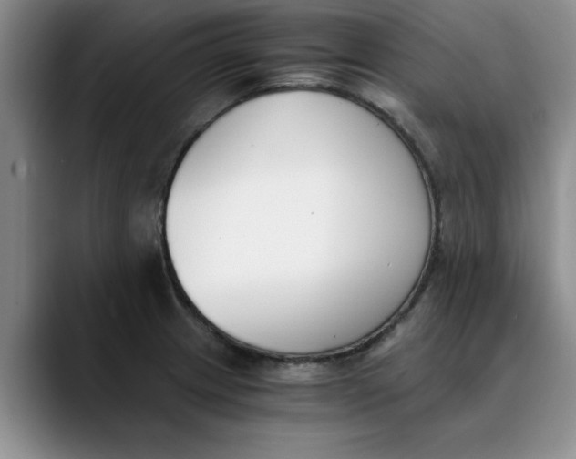 X0000089831233200707191820