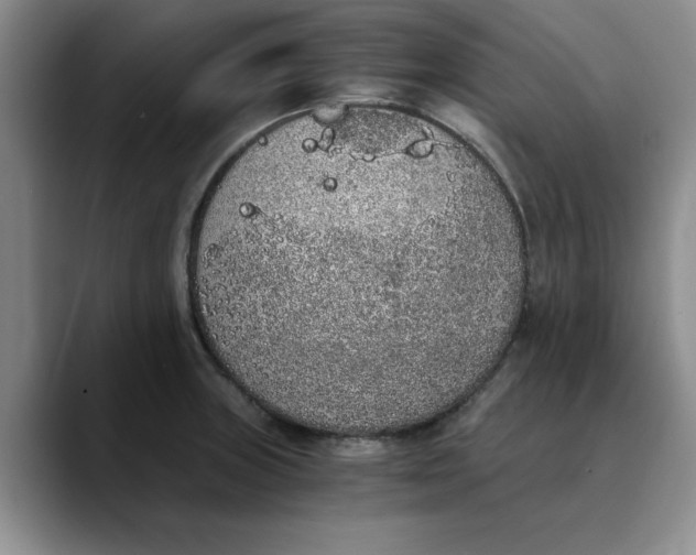 X0000089831235200707191820