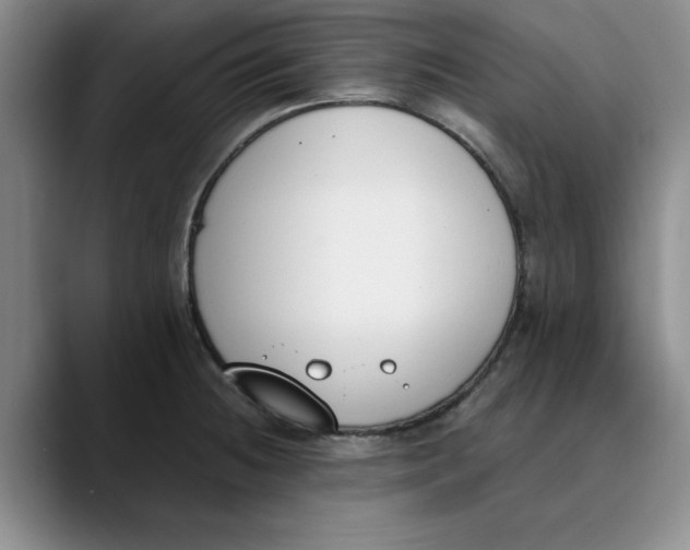 X0000089831236200707191820