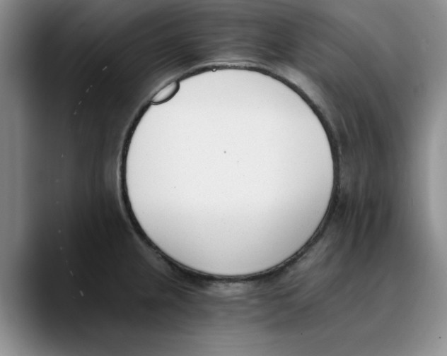 X0000089831237200707191820