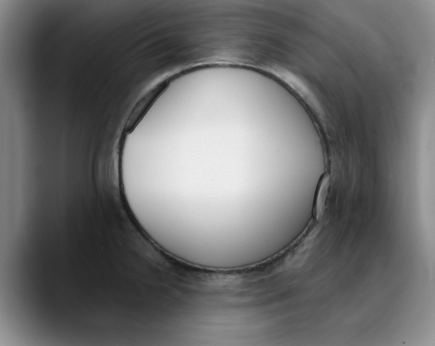 X0000089831238200707191820