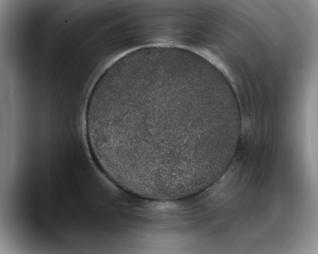 X0000089831239200707191820