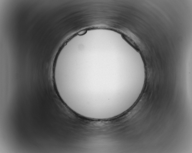 X0000089831240200707191820