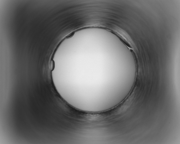 X0000089831242200707191820