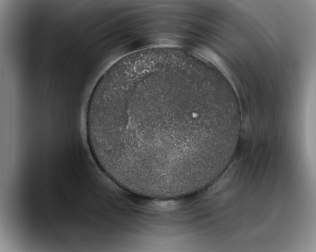 X0000089831243200707191820