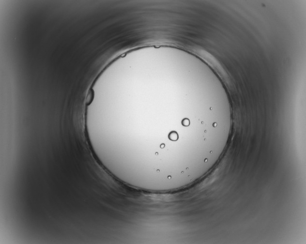 X0000089831244200707191820