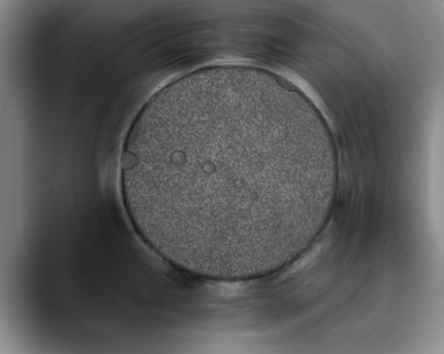 X0000089831245200707191820