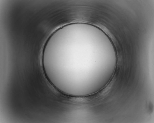 X0000089831246200707191820