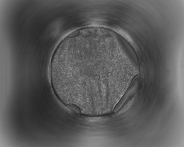 X0000089831247200707191820