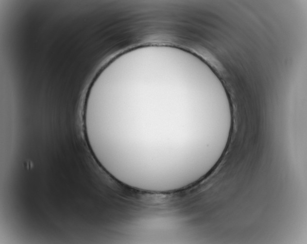 X0000089831248200707191820