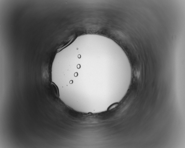 X0000089831252200707191820