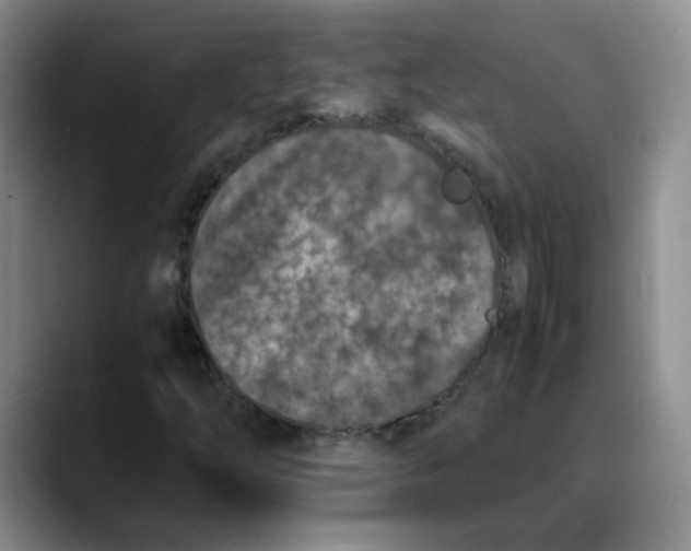 X0000089831254200707191820