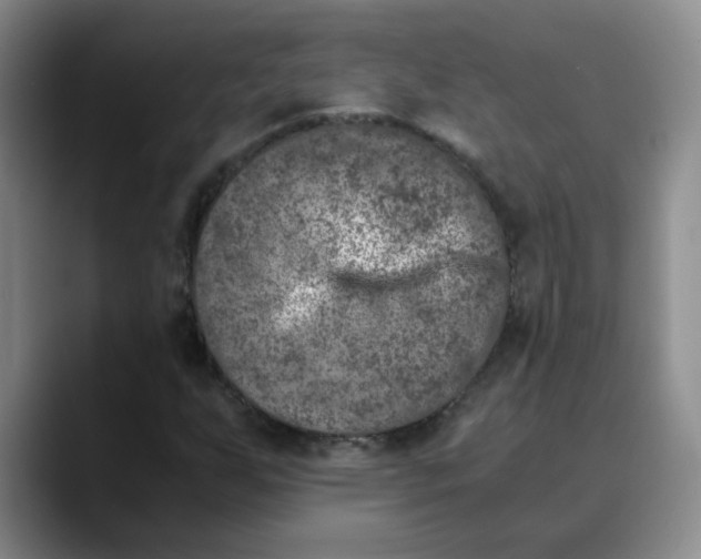 X0000089831255200707191819