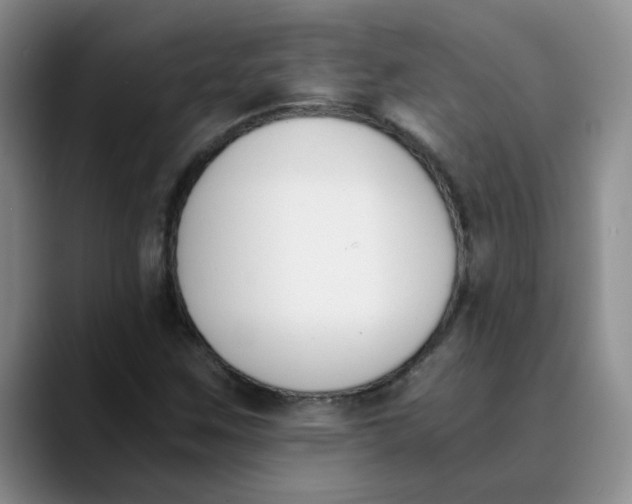 X0000089831259200707191819