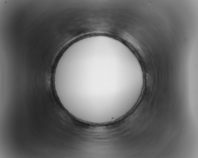 X0000089831260200707191819