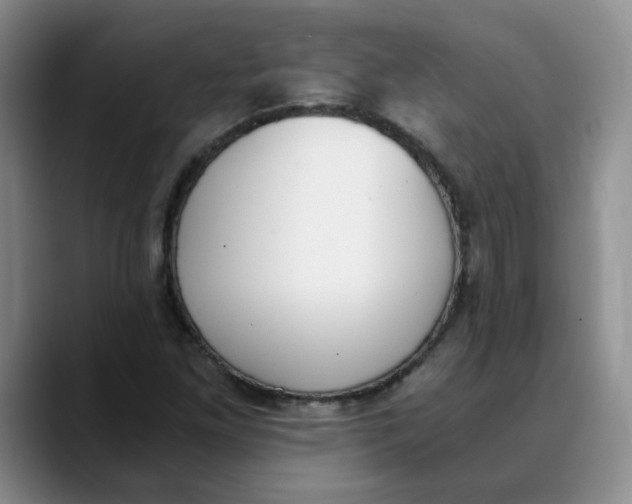 X0000089831261200707191819