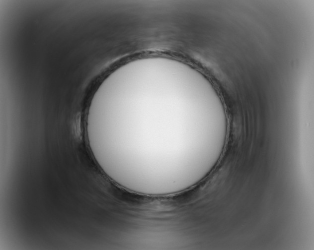 X0000089831262200707191819