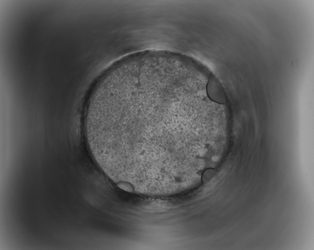 X0000089831263200707191819