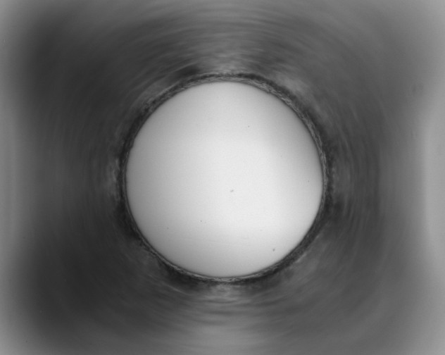 X0000089831265200707191819