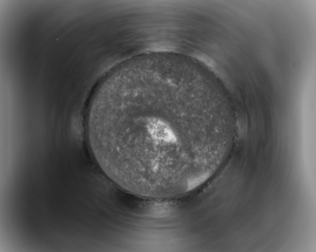 X0000089831266200707191819