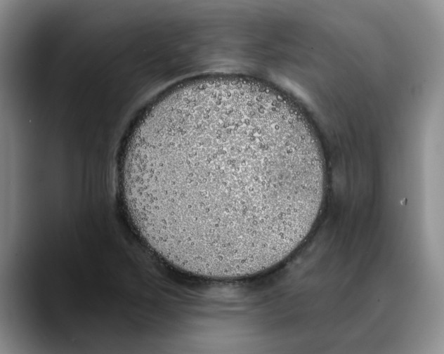 X0000089831267200707191819