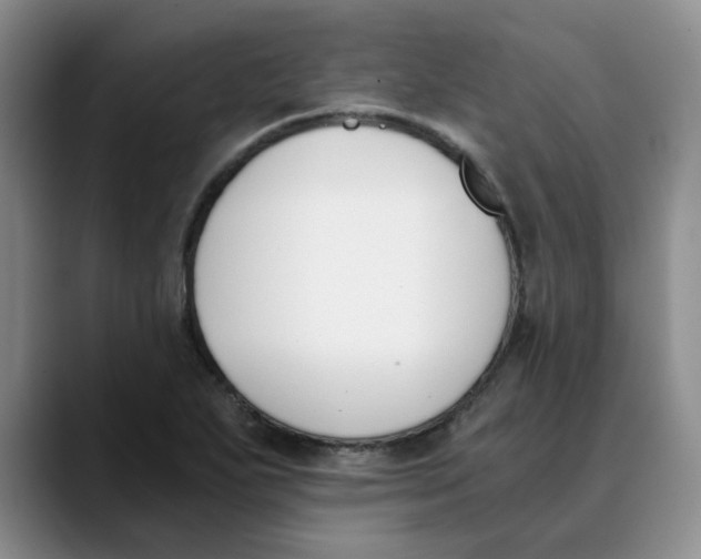 X0000089831271200707191819