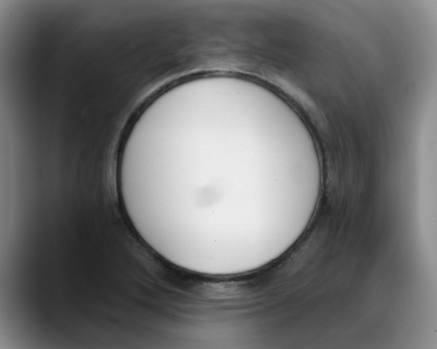 X0000089831272200707191819