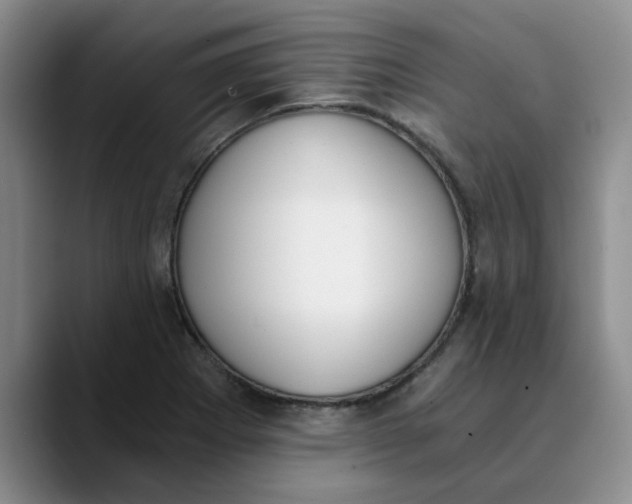 X0000089831273200707191819