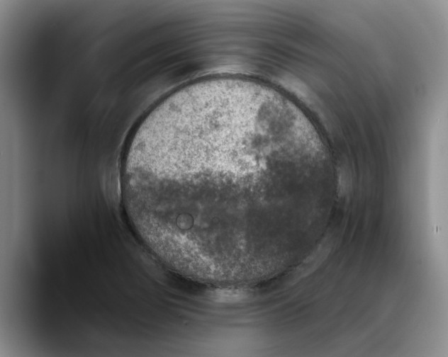 X0000089831274200707191819