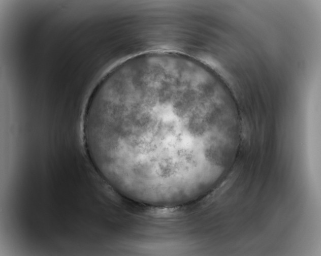 X0000089831278200707191819